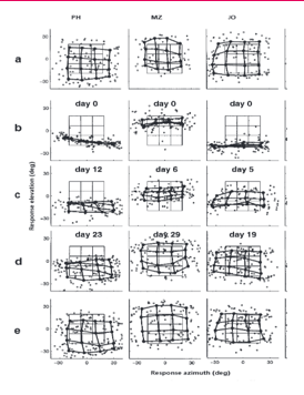 <ul><li><p>Sound localisation (a) was initially disrupted (b)</p></li><li><p>Over time they learned to localise sounds with their new ears (c,d)</p></li><li><p>But they remembered how to use their old ears (e)</p></li></ul><p></p>