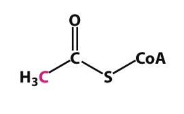 <p>What is this Structure?</p>