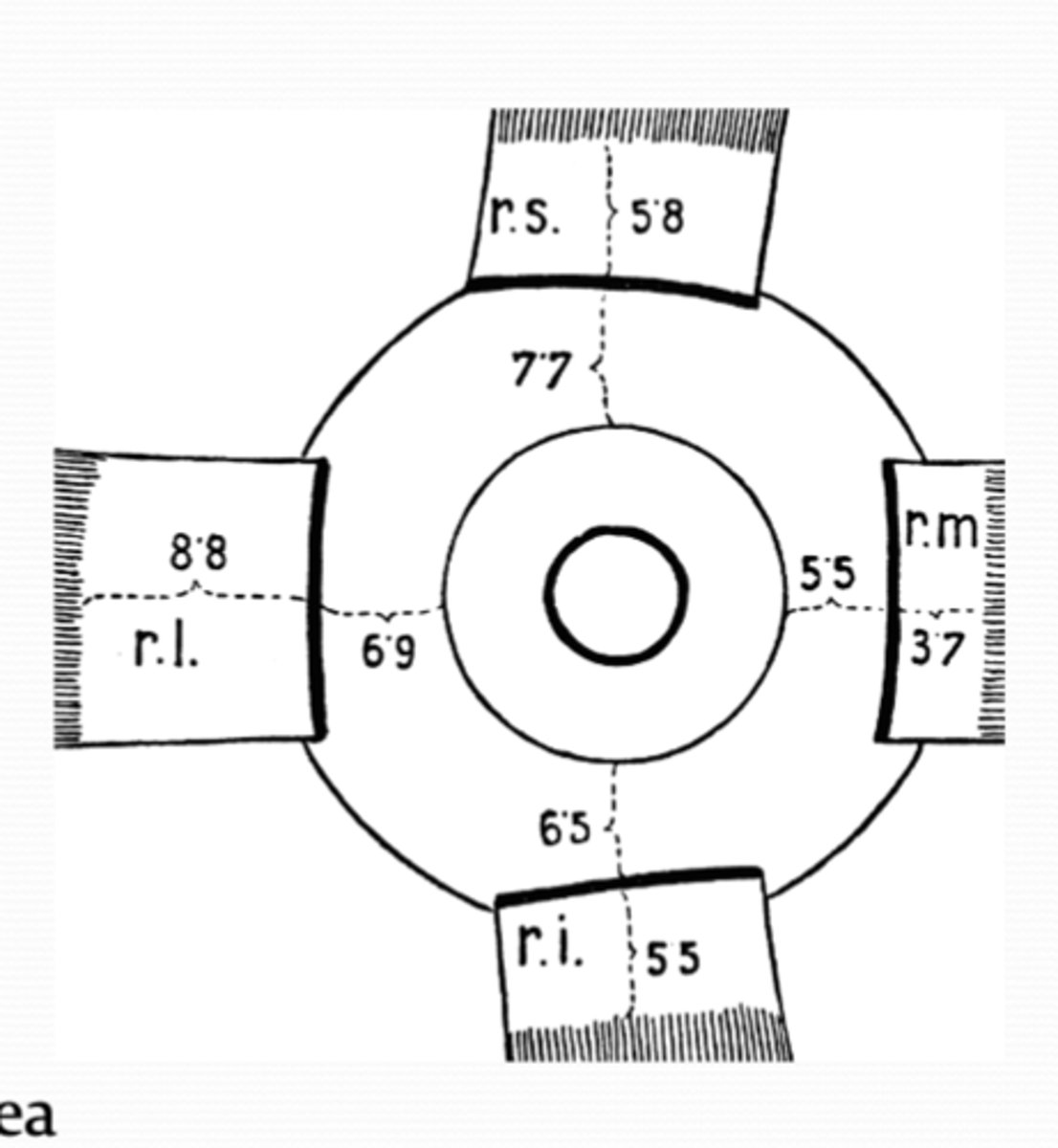 <p>SLIM:</p><p>SR: ~8mm behind cornea</p><p>LR: ~7mm behind cornea</p><p>IR: ~6.5 mm behind cornea</p><p>MR: ~5.5 mm behind cornea</p>