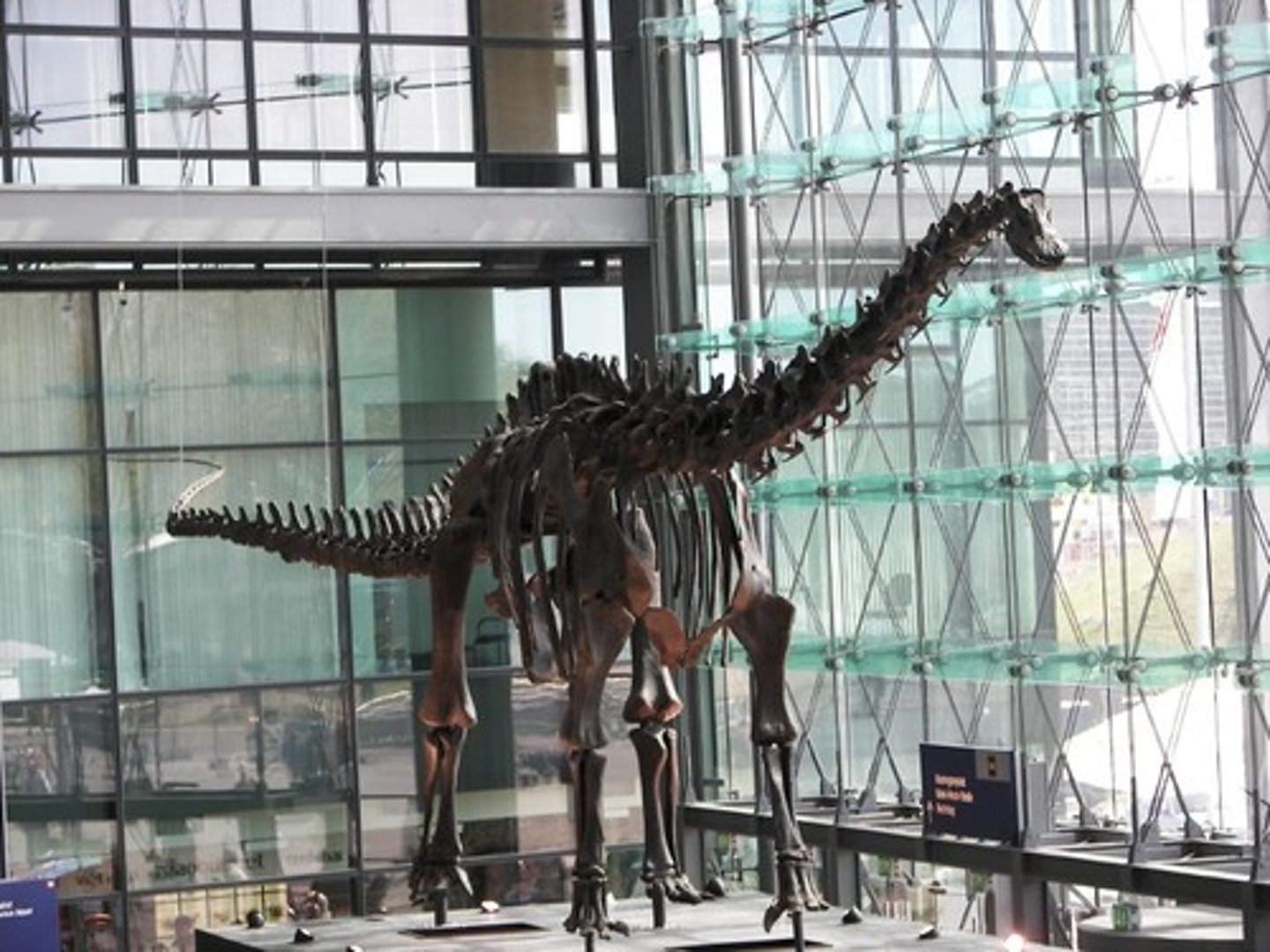 <p>en dinosaurie</p>
