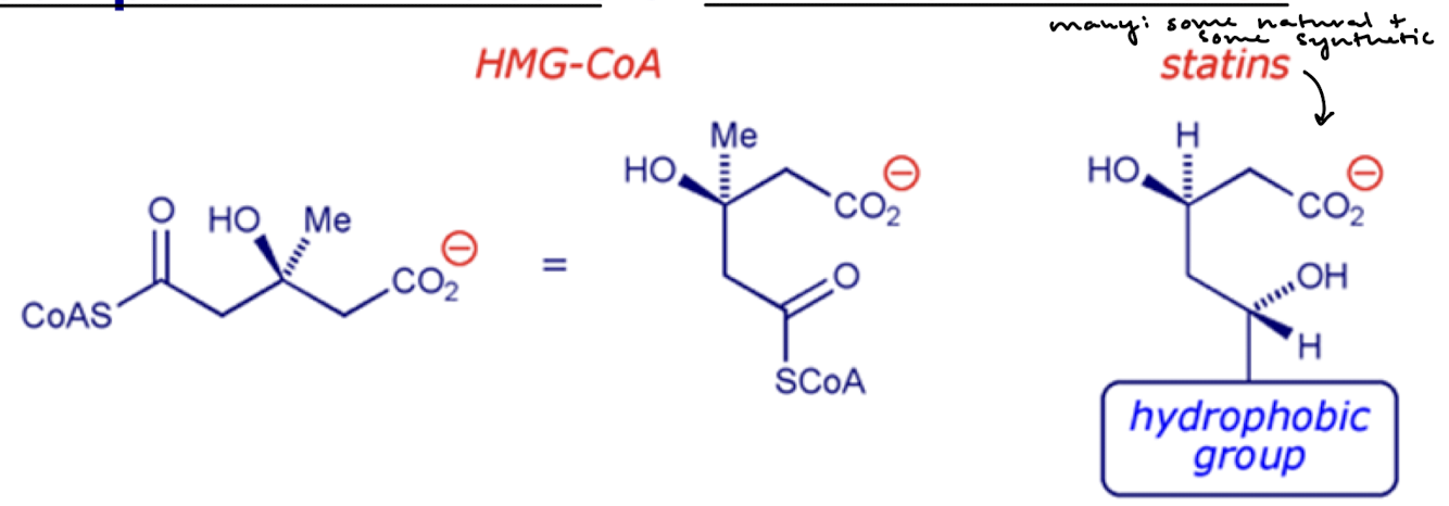 <ol><li><p>Inhibits HMG-CoA reductase (binds using hydrophobic group)</p></li><li><p>Up-regulates the expression of LDL receptors on cell membranes (so dietary LDLs are used now that intracellular cholesterol is low).</p></li></ol><p></p>