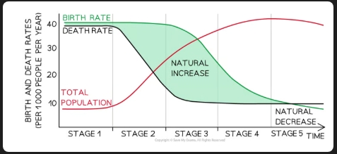 <p>What is the Demographic Transition Model?</p>