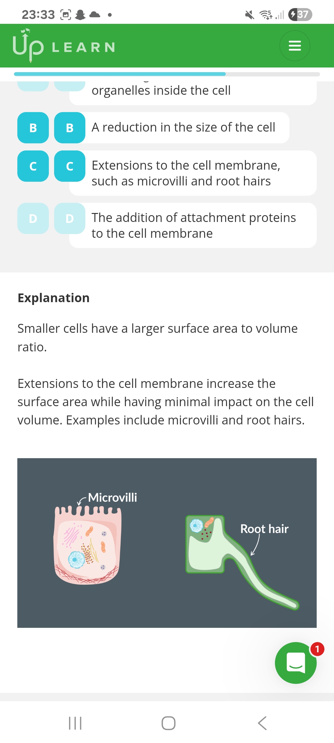 knowt flashcard image