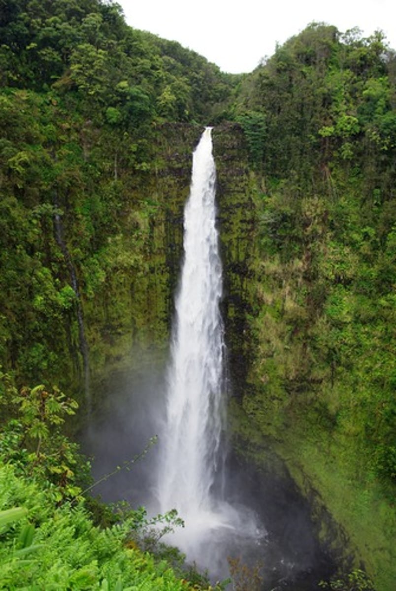 <p>-Warm all year round</p><p>-Very high amount of precipitation (300-500 mm per month)</p><p>-Southern Hemisphere</p><p>-Central America, Africa, South America, Southeast Asia</p><p>-Great Biodiversity</p><p>-Poor, thin soils</p>