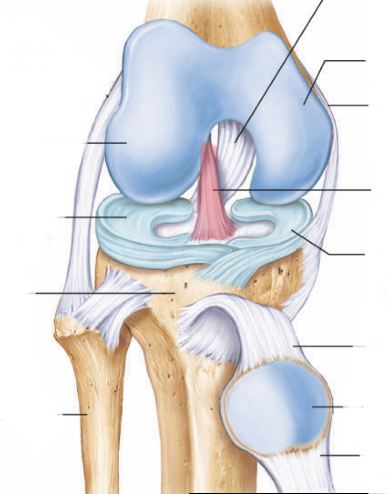 <p>*movement + prevention</p>