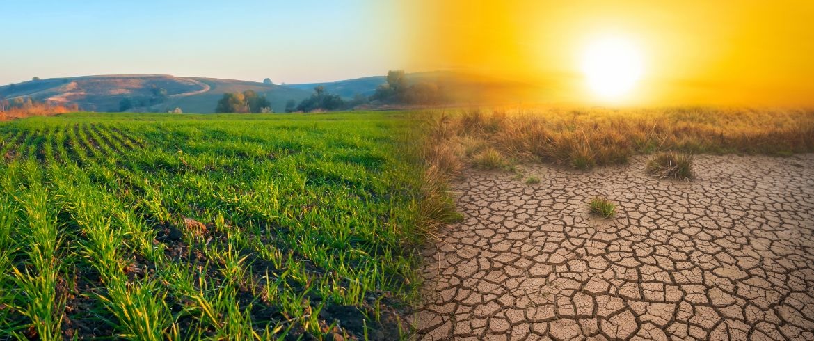 <p><strong>A:</strong> Climate Change.</p>