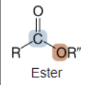 <p>Ester</p>