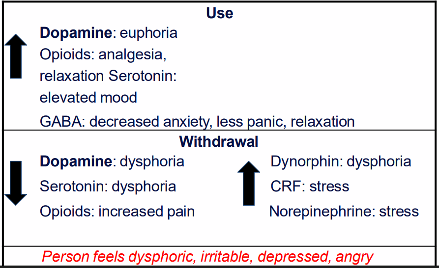<p>USE:</p><p>INCREASE OF:</p><p>- Dopamine: euphoria</p><p>- Opioids: analgesia, relaxation</p><p>- Serotonin: elevated mood</p><p>- GABA: decreased anxiety, less panic, relaxation</p><p>.</p><p>WITHDRAWAL:</p><p>DECREASE OF</p><p>- Dopamine: dysphoria</p><p>- Serotonin: dysphoria</p><p>- Opioids: increased pain</p><p>INCREASE OF:</p><p>- Dynorphin: dysphoria</p><p>- CRF: stress</p><p>- Norepinephrine: stress</p><p>.</p><p>- person feels dysphoric, irritable, depressed, angry</p><p>.</p><p>- we might have fewer receptors being expressed ono our post-synaptic neuron and so now with less dopamine around we experience dysphoria in the absence of the drug</p>
