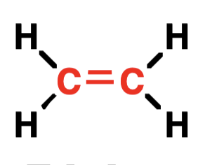 <p>Identify the functional group</p>
