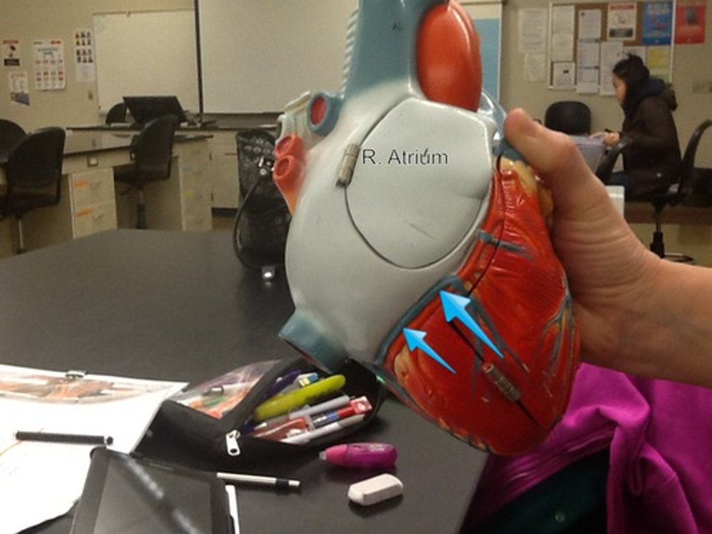 knowt flashcard image