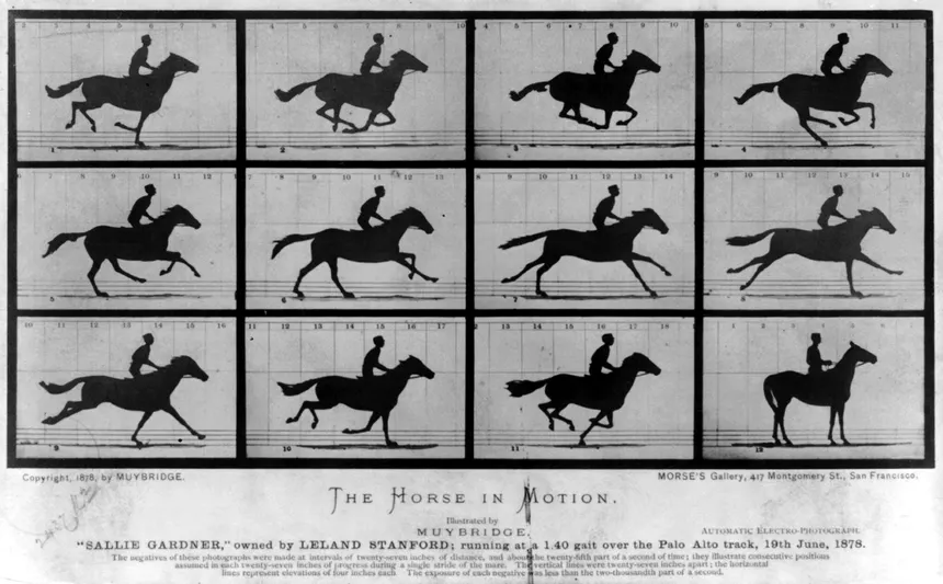 <ul><li><p><strong>ID:</strong> Eadweard Muybridge, 1878 CE, Photography, USA</p></li><li><p><strong>Content:</strong> A series of sequential images showing a galloping horse’s movement.</p></li><li><p><strong>Function:</strong> Scientific study of motion, proving that all four hooves leave the ground mid-stride.</p></li><li><p><strong>Context:</strong> Early use of photography for motion analysis, influencing film.</p></li><li><p><strong>Form:</strong> High-speed photographic sequence, clear and precise images.</p></li></ul><p></p>