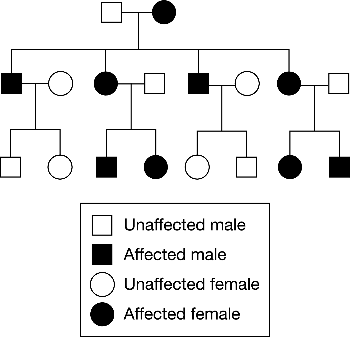 <p>Figure 1. A pedigree of three generations of a family that have a high frequency of a particular genetic condition</p><p style="text-align: start">Figure 1 shows the inheritance of a particular genetic condition in three generations of one family. Which of the following best explains the observed pattern of inheritance?</p><ul><li><p><strong>A: </strong><span>The condition is passed randomly because of the independent assortment of chromosomes.</span></p><p></p></li><li><p><strong>B: </strong><span>The condition is passed from fathers to sons via a Y-linked gene.</span></p><p></p></li><li><p><strong>C: </strong><span>The condition is passed from mothers to sons via an X-linked gene.</span></p><p></p></li><li><p><strong>D: </strong><span>The condition is passed from mothers to offspring via a mitochondrial gene.</span></p></li></ul>