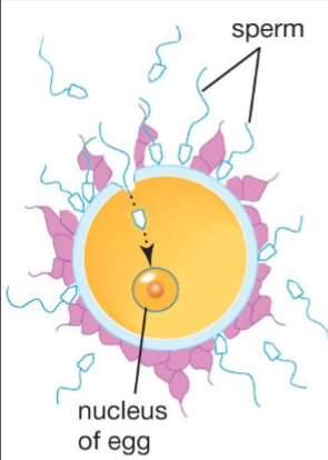 <p>Step 2</p>