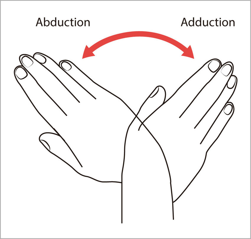<p>Adduction (retract)</p>
