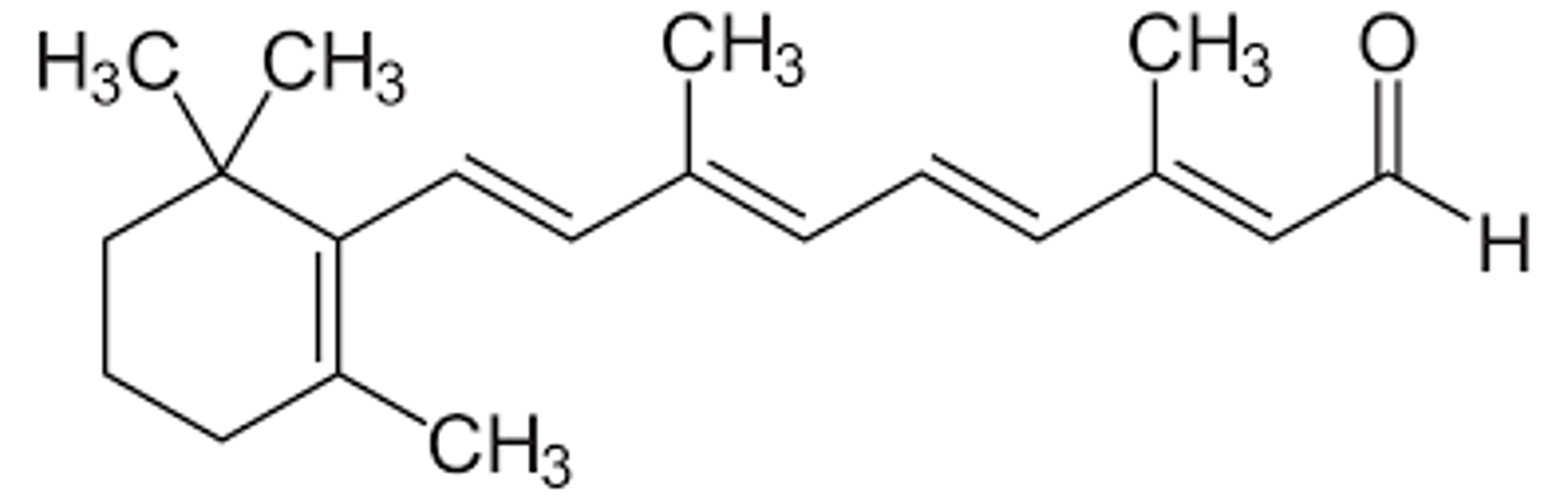 <p>Prosthetic Group</p><p>Essential for Vision</p><p>Source: Vitamin A</p>
