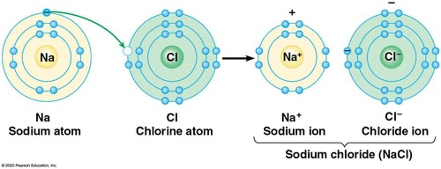 <p>Attraction between oppositely charged ions.</p>