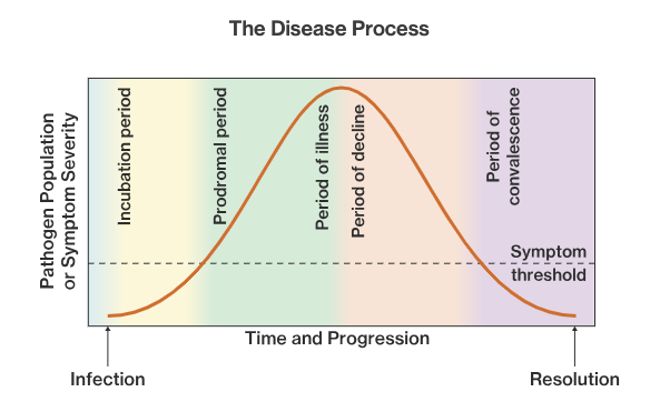 <ol><li><p>exposure </p></li><li><p>latent period </p></li><li><p>prodromal period </p></li><li><p>illness </p></li><li><p>decline </p></li><li><p>convalescence </p></li></ol>