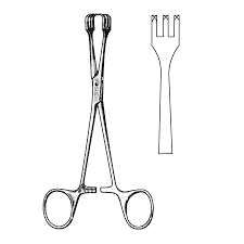 Grasping, lifting, and retracting organs (Lahey thyroid tenaculum)