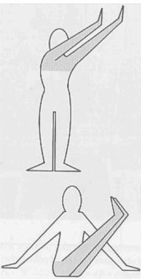 <p>paired extremities perform opposite diagonal pattern but same direction </p><ul><li><p>facilitates trunk rotation </p></li></ul><p></p>