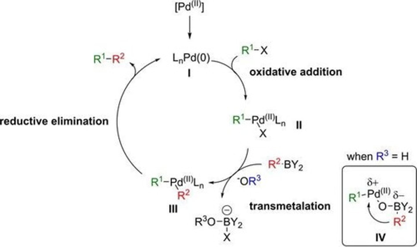 <p>Oxidative addition, transmetalation, and reductive elimination.</p>