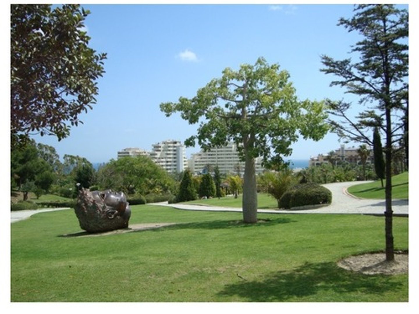 <p>la zona verde</p>
