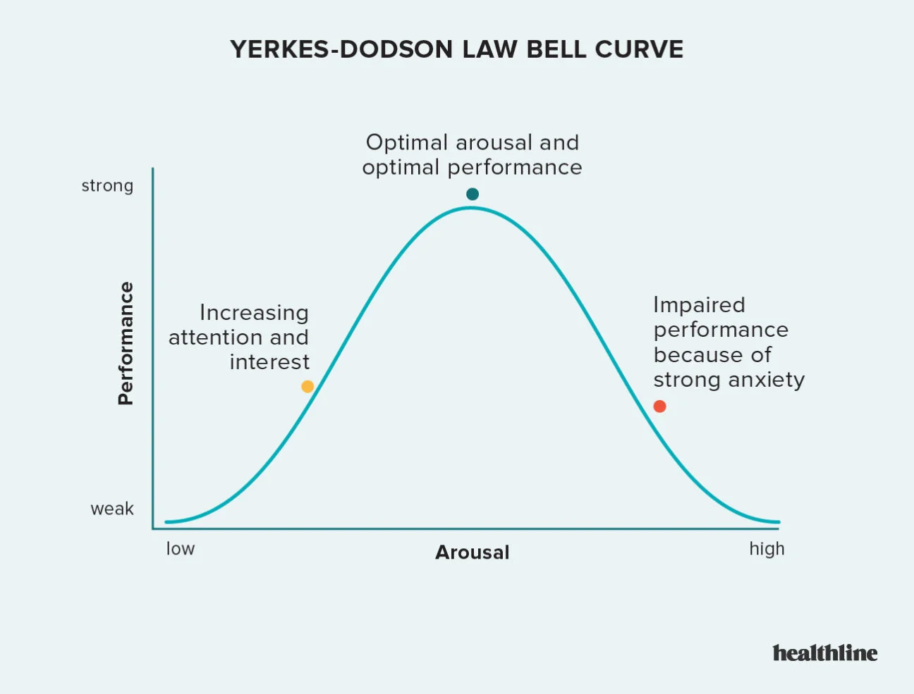 <p>Yerkes- Dodson Law</p>