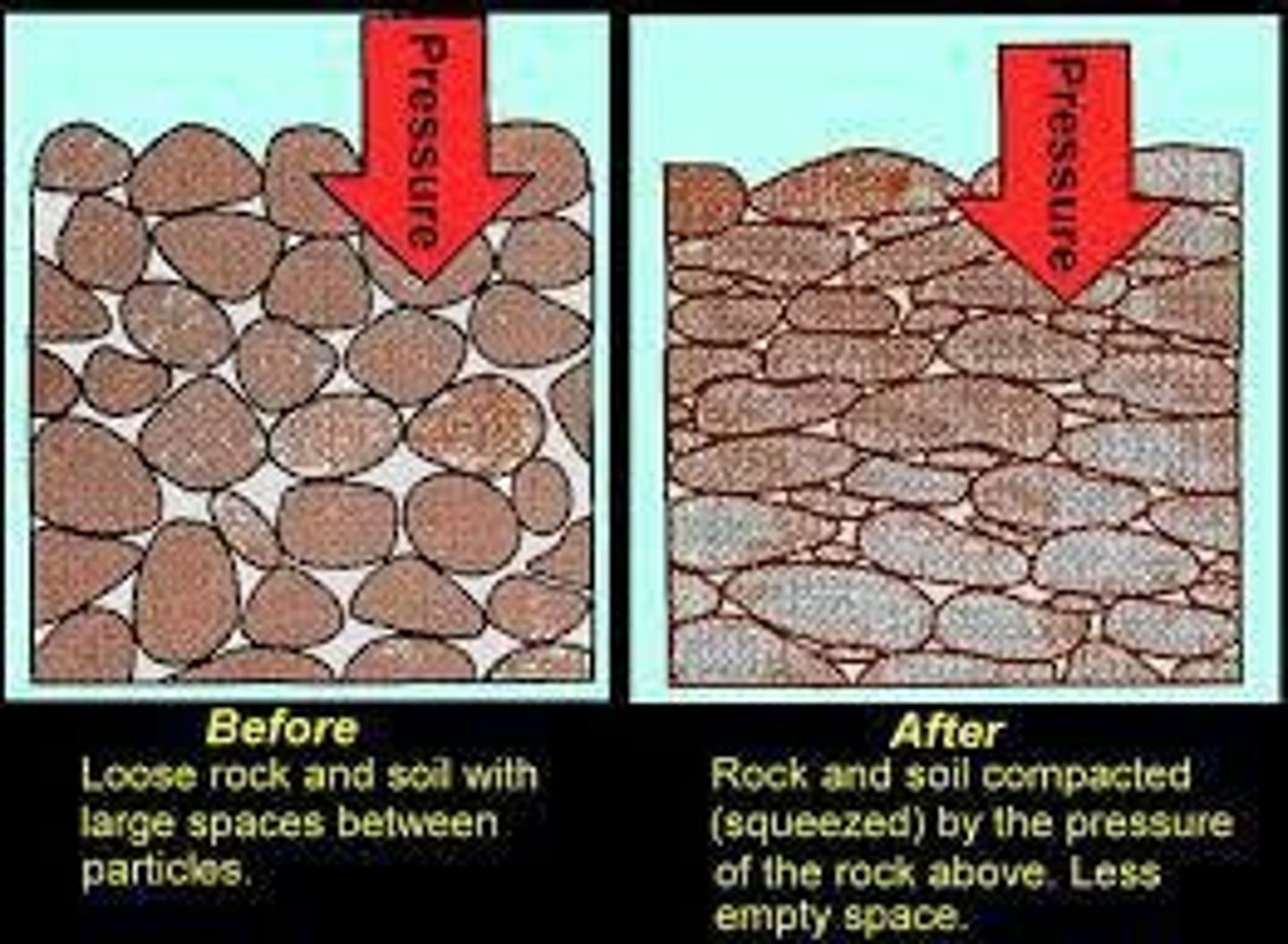 <p> is the process of squeezing layers of sedimentary rock together by the weight of sediment and water.</p>