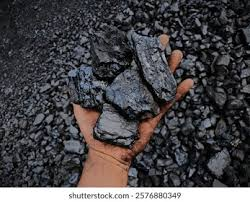 <p>Oil: “fine clayey sediments… organic molecules… phytoplankton.” </p><p>Coal: “continental plant debris… richer in lignin… e.g. lignite.</p>