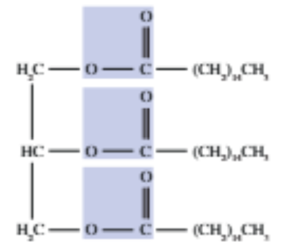 <p><strong>Biodiesel </strong>is formed by triglycerides reacting with an alcohol in the presence of <strong>KOH catalyst</strong>, as the <strong>fatty acid esters</strong> are <strong>biodiesel</strong>.</p>