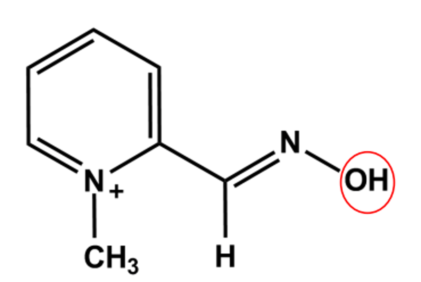 <p>Relies on the high nucleophilicity of the oxime oxygen</p><p>Binds to the AChE active site with the oxime positioned to attack the phosphate ester.</p><p>Only works if used quickly in the first hour or two of exposure.</p>