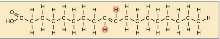 <p>What is this ?</p>