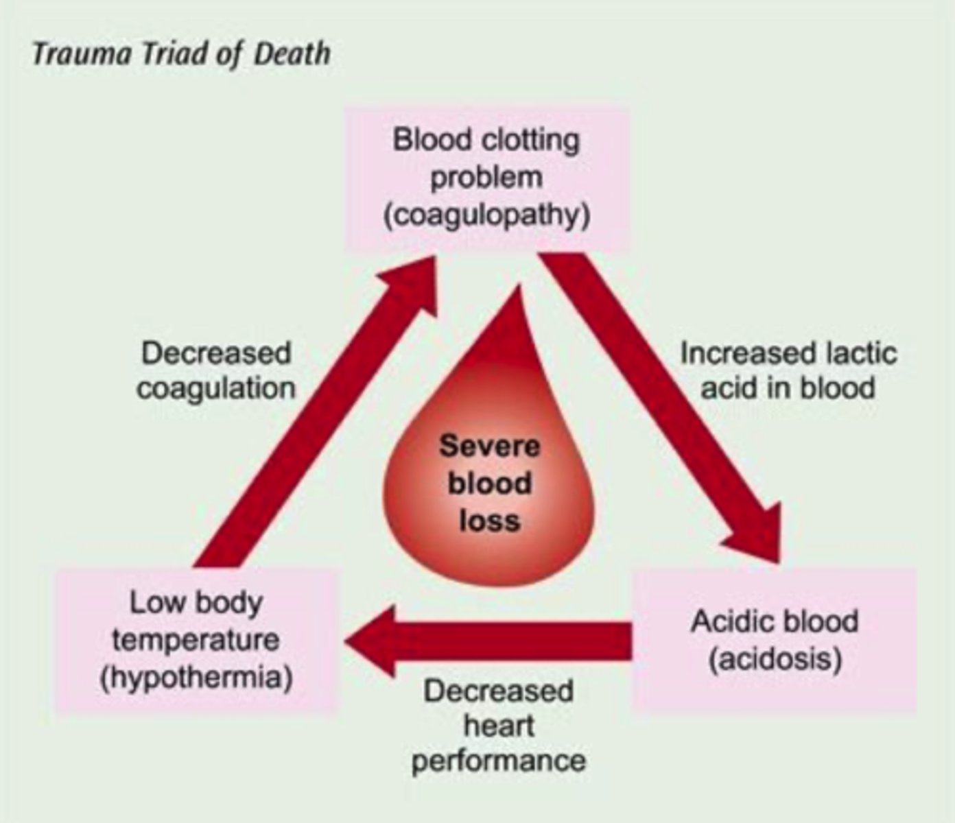 <p>- dependent on temperature and pH b/c of its complex enzymatic properties and reactions, which help to form blood clots to stop internal/external bleeding</p><p>- describes disease states of impaired blood clotting synthesis/thrombosis</p><p>- d/t hypothermia, acidosis, AND loss clotting factors through hemorrhage and hemodilution --> which leads to an overuse by the body (which further depletes clotting factors)</p><p>- leads to continued hemorrhage in the bleeding trauma pt</p>