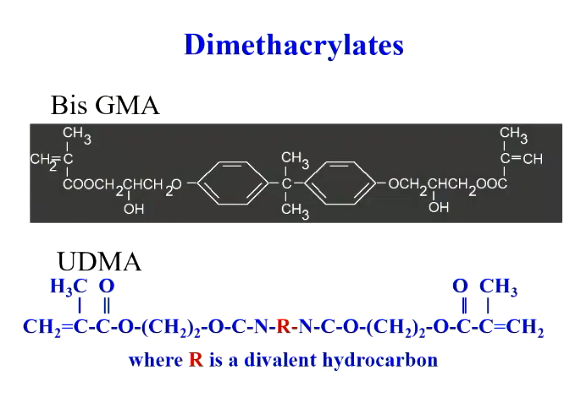 <p>They have 2 methacrylate groups - hydrophobic</p>
