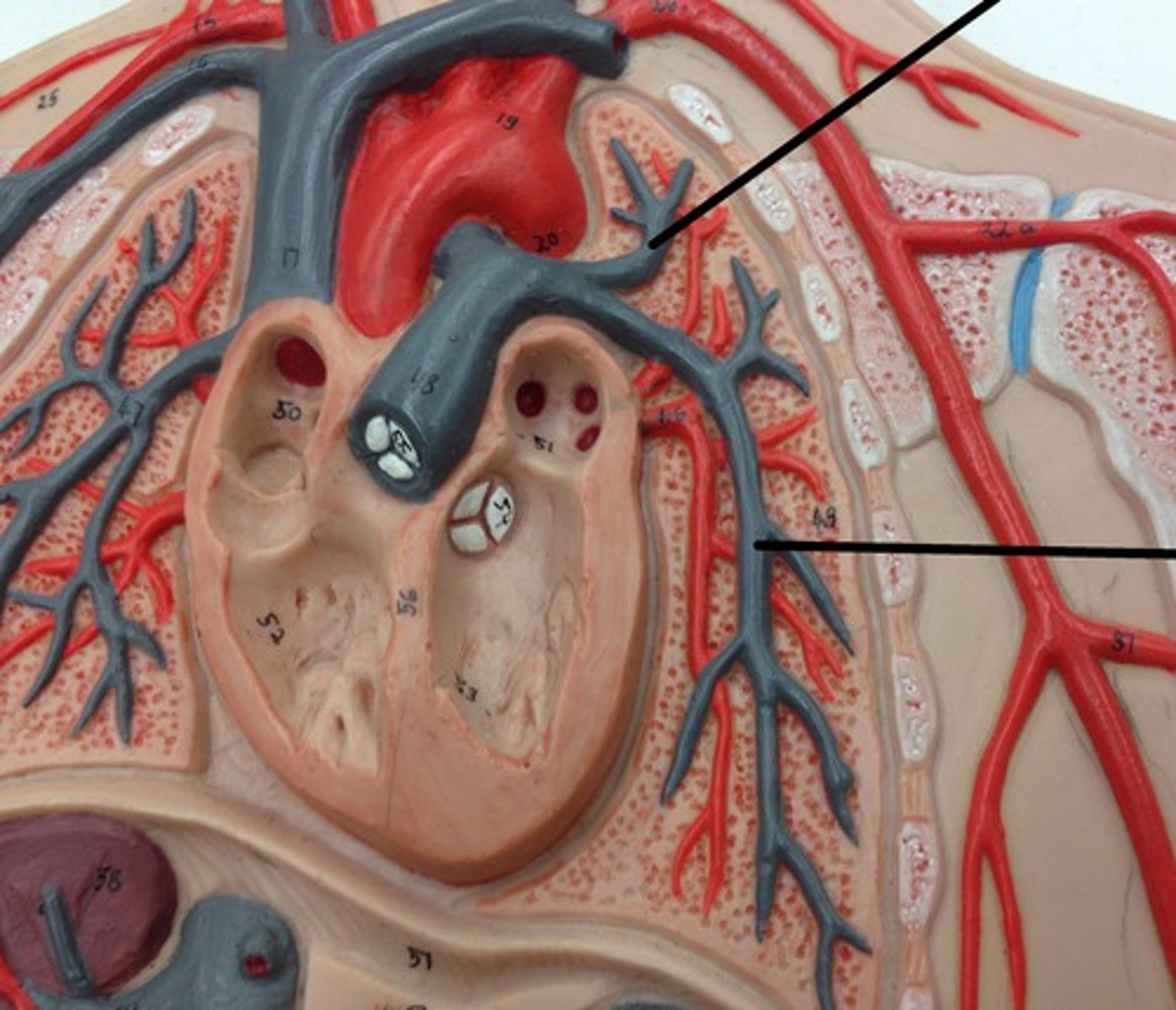 <p>What structure?</p>