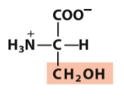 <p>Polar, neutral</p>