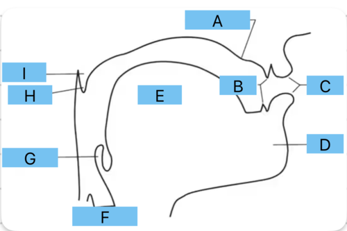 <p>Identify c</p>