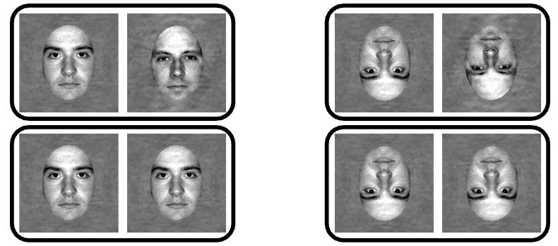 <p>Task: Decide if two faces (upright vs inverted) are same or different.</p><ul><li><p>DV = reaction time (RT).</p></li><li><p>Hypothesis: RTs will differ between upright vs inverted faces.</p></li><li><p>H₀: RT to inverted and upright faces are the same. </p><ul><li><p>RT for inverted = upright (no difference).</p></li></ul></li></ul><ul><li><p>H₁: RT to inverted faces will be different that upright. </p><ul><li><p>RT for inverted ≠ upright (difference exists).</p></li></ul></li></ul><p></p><p></p>