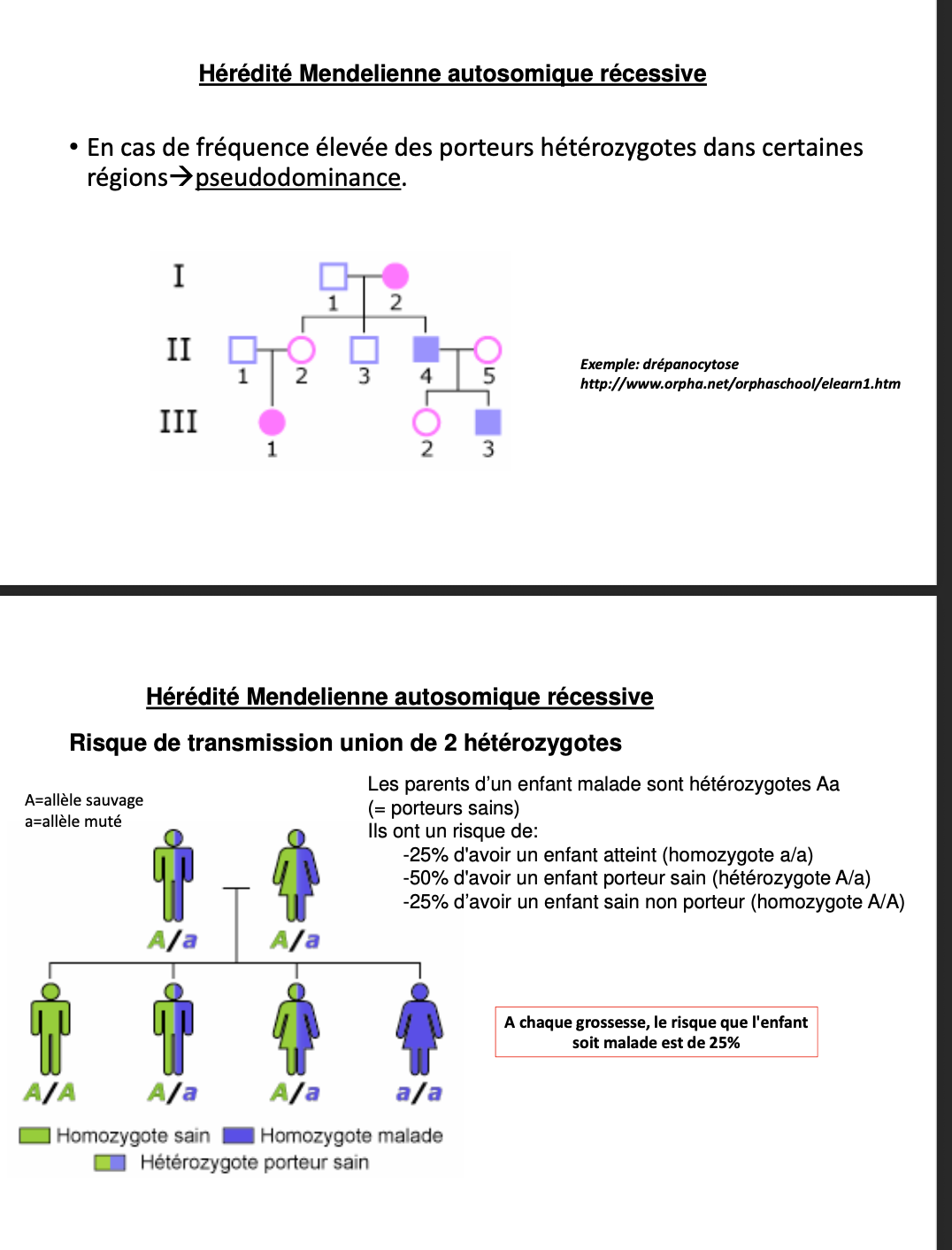 <img src="https://knowt-user-attachments.s3.amazonaws.com/f741ad49-7cab-4d17-80d4-594def31797f.png" data-width="100%" data-align="center"><img src="https://knowt-user-attachments.s3.amazonaws.com/4ca444bf-ce8b-4773-9d04-811d5e5f93b6.png" data-width="100%" data-align="center"><img src="https://knowt-user-attachments.s3.amazonaws.com/5d002f50-f845-412f-9932-c1495d5d9475.png" data-width="100%" data-align="center"><ol><li><p>Maladie/trait exprimé <strong>uniquement chez l’homozygote muté (a/a)</strong> ou <strong>hémizygote</strong> (gène sur X chez garçon) ; les <strong>hétérozygotes (A/a) sont porteurs sains</strong>.</p></li><li><p><strong>Deux sexes</strong> touchés, <strong>transmission horizontale</strong> (atteints surtout parmi frères/sœurs), <strong>parents généralement sains mais porteurs</strong>, <strong>consanguinité</strong> augmentant le risque.</p></li><li><p><strong>25 % malade (a/a)</strong> ; <strong>50 % porteur sain (A/a)</strong> ; <strong>25 % sain non porteur (A/A)</strong>.</p></li><li><p><strong>0 % malade</strong>, <strong>100 % porteurs (A/a)</strong>.</p></li><li><p><strong>50 % malade (a/a)</strong> ; <strong>50 % porteur (A/a)</strong>.</p></li><li><p>Apparence <strong>dominante</strong> d’une <strong>maladie AR</strong> quand la <strong>fréquence des porteurs est élevée</strong> : un patient <strong>a/a</strong> a souvent un conjoint <strong>A/a</strong> ⇒ <strong>≈50 % d’enfants atteints</strong> ; peut faire croire à une atteinte sur <strong>plusieurs générations</strong> (ex. <strong>drépanocytose</strong>).</p></li><li><p><strong>Mucoviscidose</strong>, <strong>drépanocytose</strong>, <strong>phénylcétonurie</strong>, <strong>thalassémies</strong>, etc.</p></li></ol><p></p>