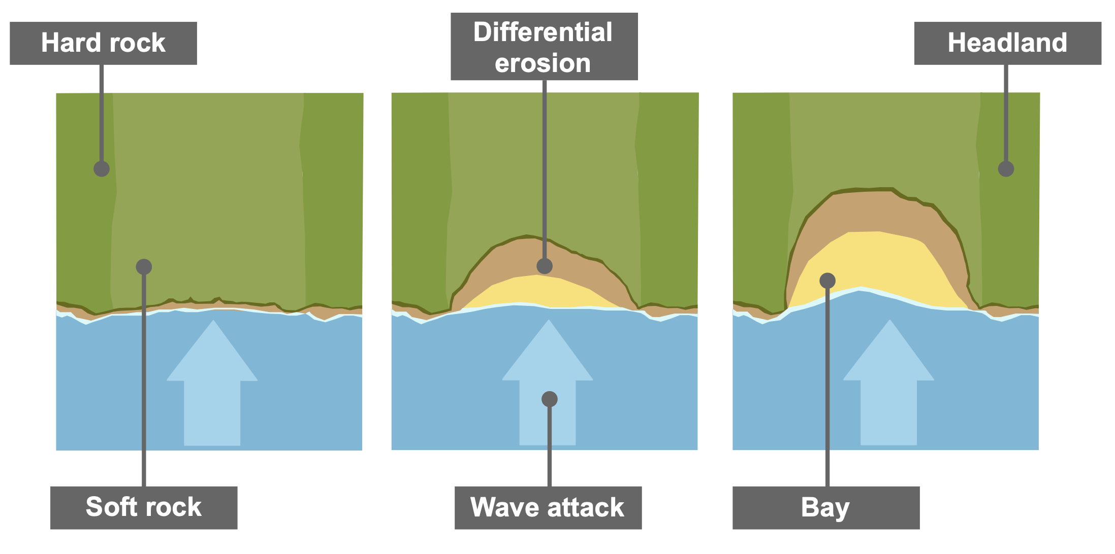 <p>Headlands and bays form along <strong>discordant coastlines</strong>, where bands of rock run at right angles to the coast. The <strong>less-resistant rock</strong> erodes faster through processes such as hydraulic action and abrasion, forming <strong>bays</strong> with gentle slopes. The <strong>more-resistant rock</strong> erodes more slowly and therefore sticks out into the sea as a <strong>headland</strong> with steep sides. Over time, differential erosion creates a coastline with alternating headlands and bays.</p>
