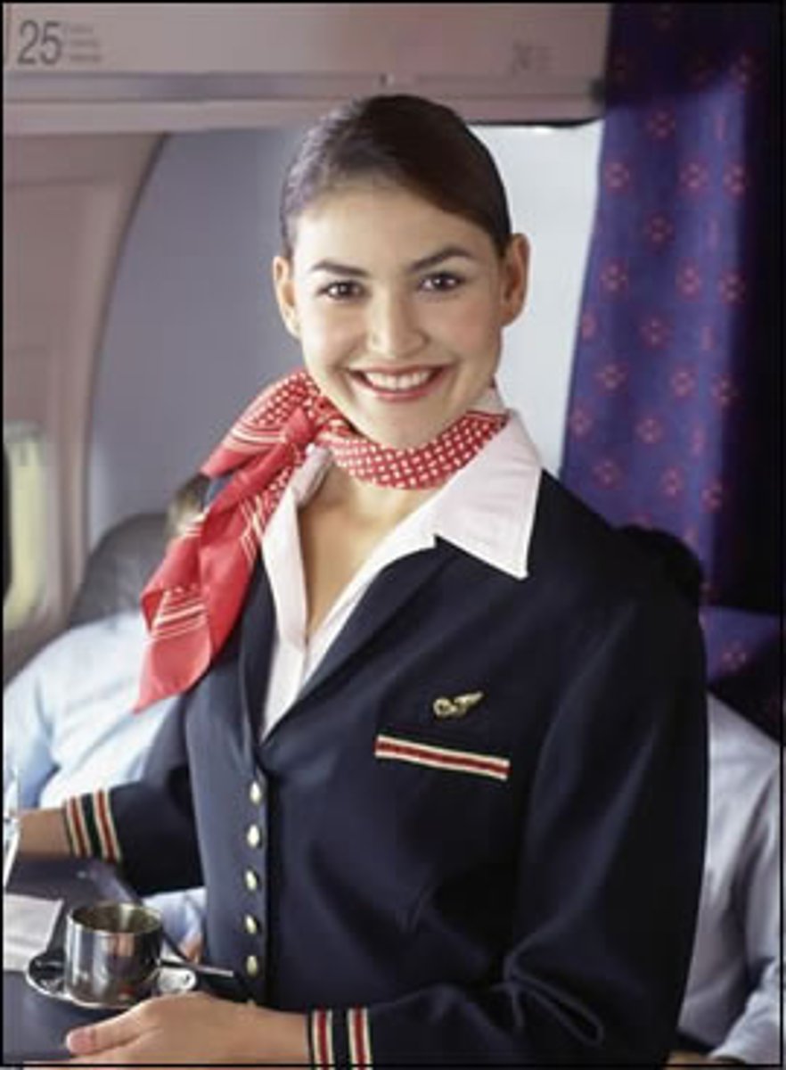 <p>flight attendant</p>