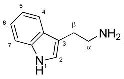 <p>what classical hallucinogen class is this structure?</p><p>a. indole -alkylamine</p><p>b. phenyl-alkylamine</p>