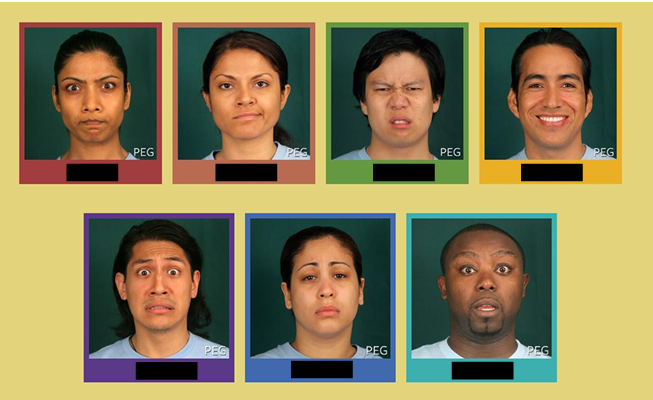 <p>Categories of emotions</p><p>Suggest everyone has same innate emotions </p><p>ex. anger, contempt (new), disgust, enjoyment, fear, sadness, surprised</p><p>Universally recognized</p>