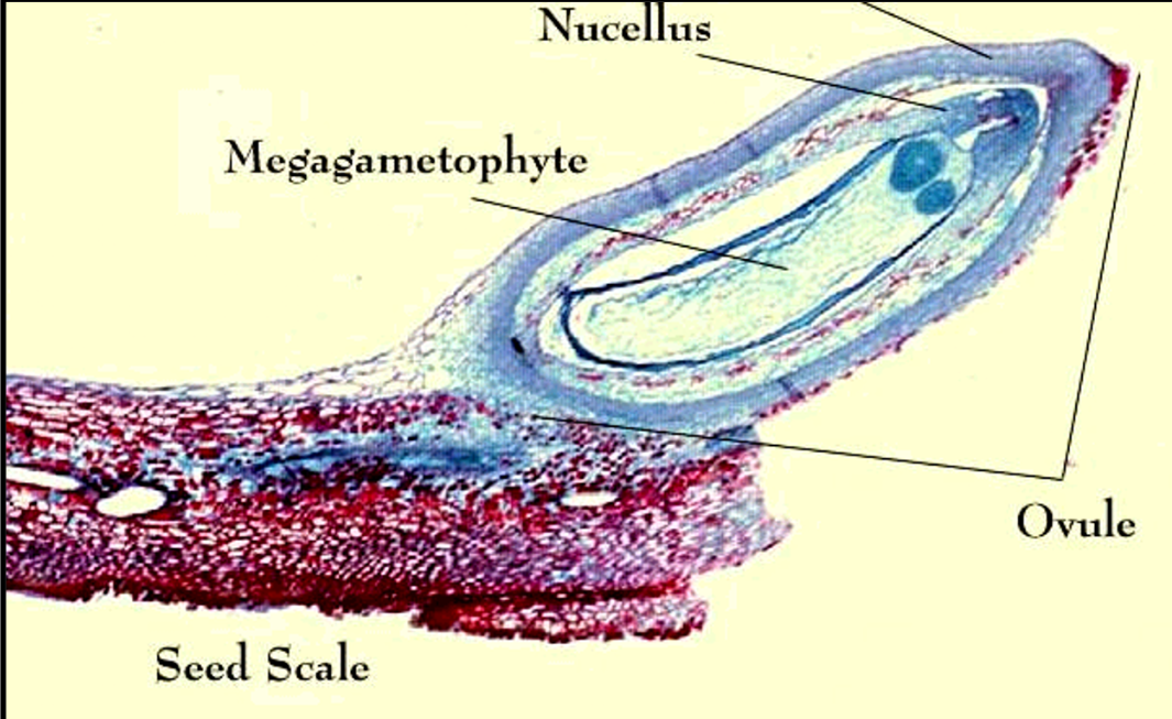 <p>What is this?</p>