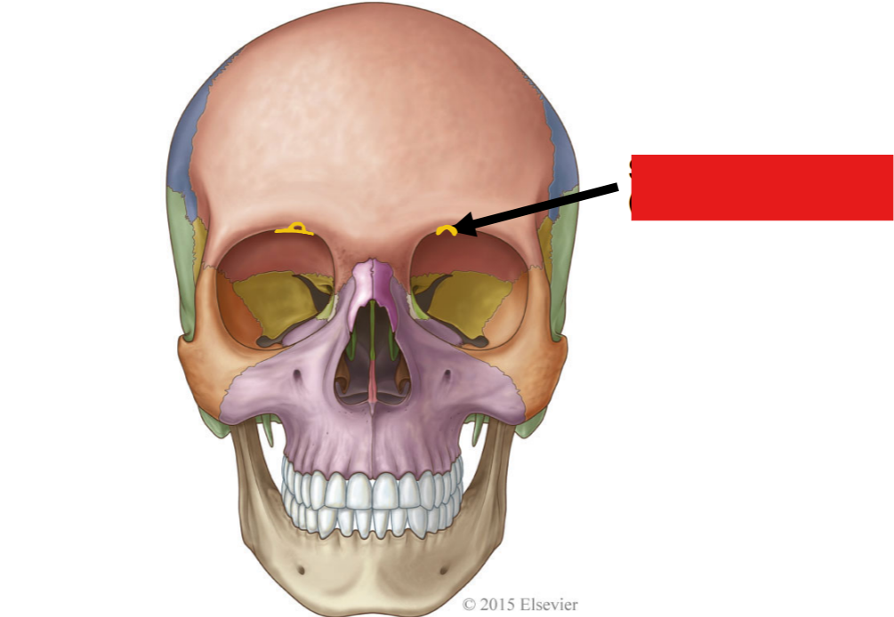 <p>Fill in the red box:</p>