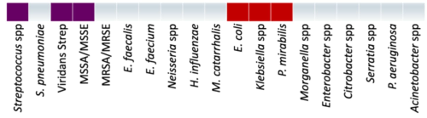 <p>• Anaerobes: +/- (oral anaerobes)</p><p>• Coverage - Covers Streptococcus spp (NOT S. pneumoniae), MSSA, E. coli, Kebsiella and P. mirabilis</p>