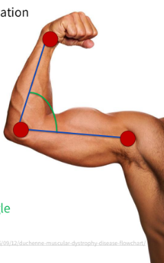 <ul><li><p>identify the location of three joint centers of rotation (instant center)</p></li><li><p>identify the orientation of the two logitudinal segments</p></li></ul><p></p>