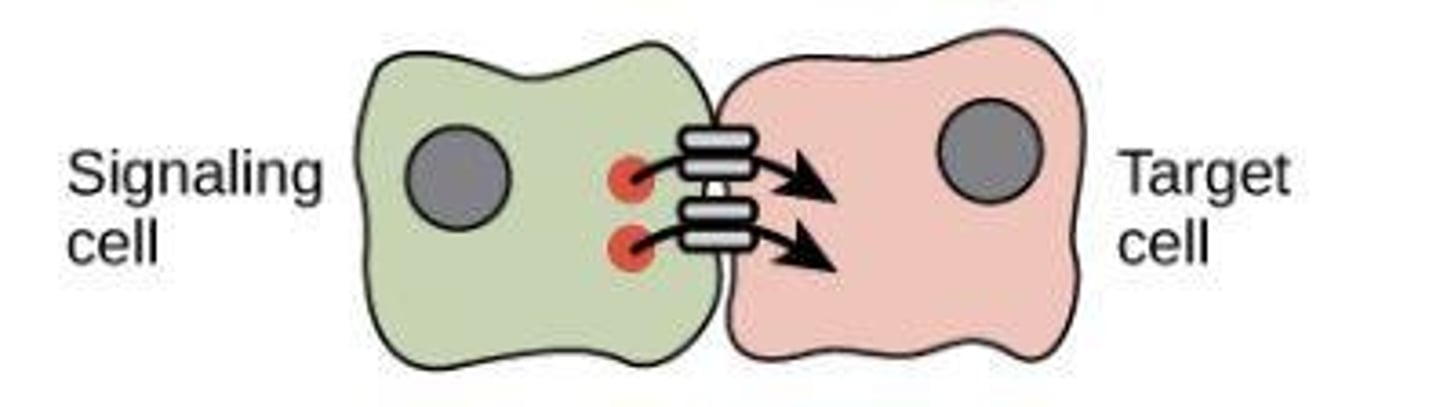 <p>The process by which a cell responds to signals from its environment.</p>