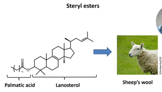 <p>Acid connected with acids. </p><p>e.g. sheeps wool with waxy feeling </p><p></p>