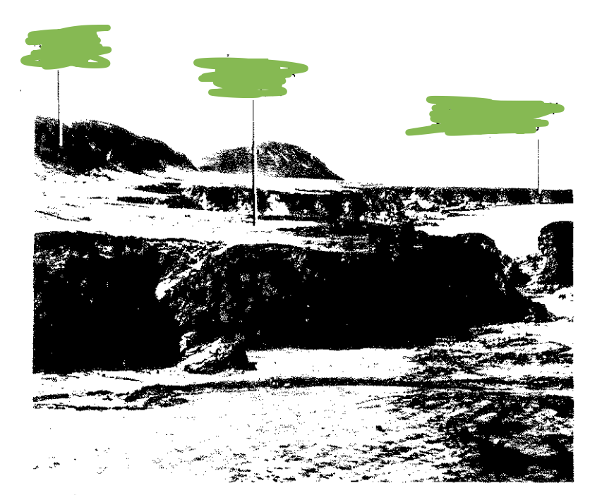 <p>What are the green spots from left to right?</p>