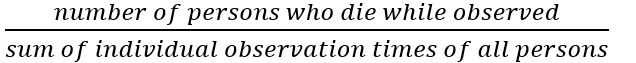 term image